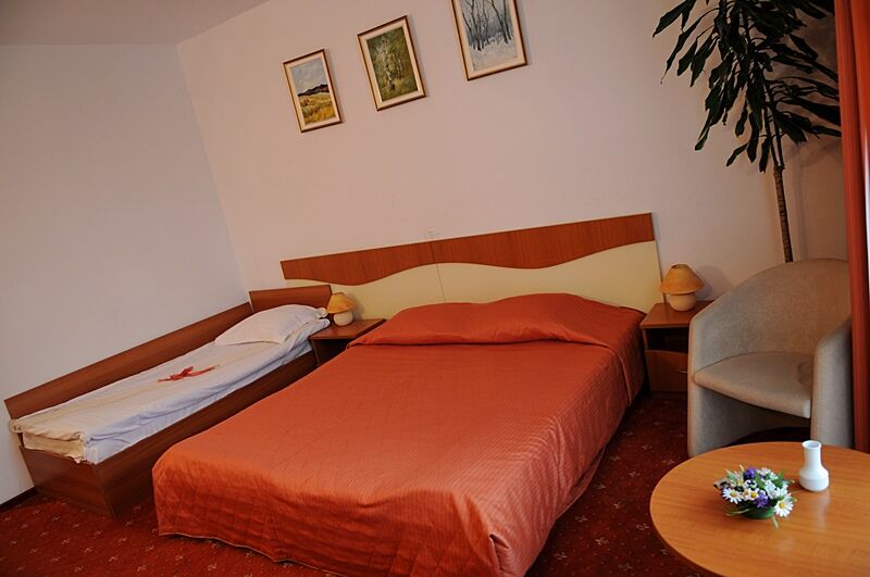 Hotel Reina Bucarest Extérieur photo